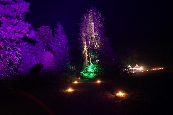 Illumina   083.jpg